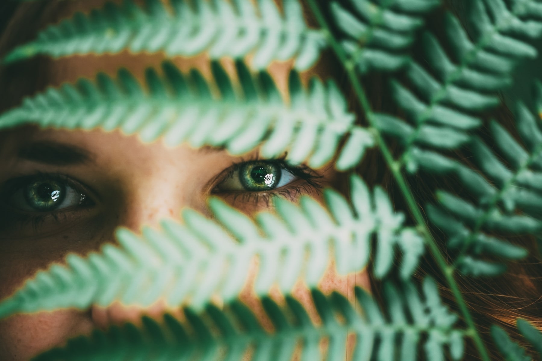 Naturaleza Landart Elevart Barcelona Huertos Creaciones Arteterapia