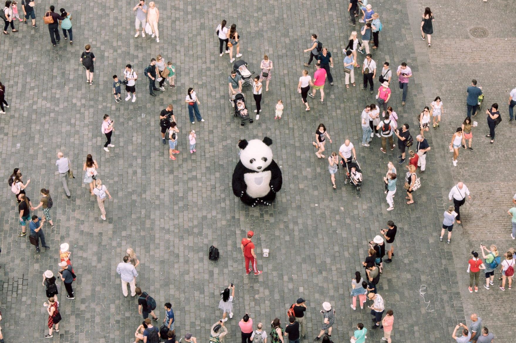 Elevart Terapia Personas Altamente Sensibles Ansiedad Hipersensible Terapia