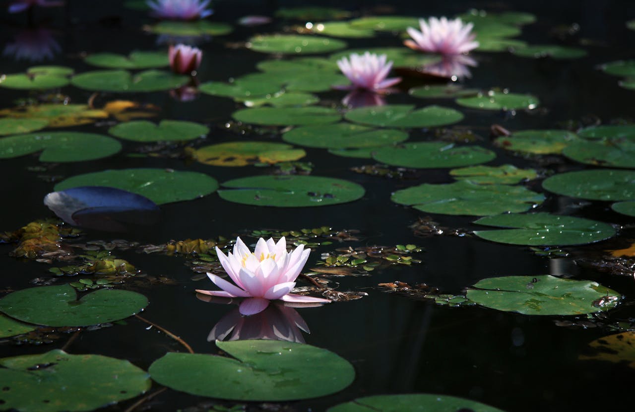 Facilitators grow through structure, community and meaningful ecosystems